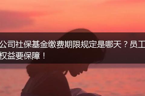 公司社保基金缴费期限规定是哪天？员工权益要保障！