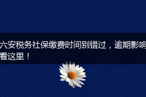 六安税务社保缴费时间别错过，逾期影响看这里！