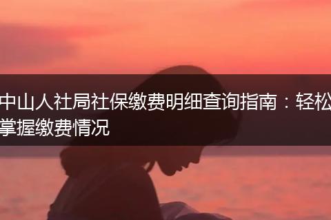 中山人社局社保缴费明细查询指南：轻松掌握缴费情况