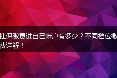 社保缴费进自己帐户有多少？不同档位缴费详解！