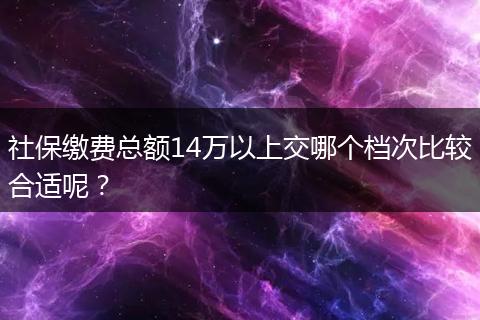 社保缴费总额14万以上交哪个档次比较合适呢？