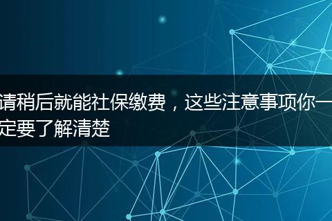 请稍后就能社保缴费，这些注意事项你一定要了解清楚