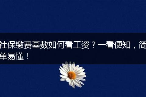 社保缴费基数如何看工资？一看便知，简单易懂！