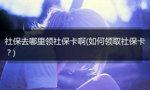 社保去哪里领社保卡啊(如何领取社保卡？)