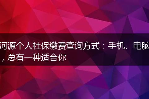 河源个人社保缴费查询方式：手机、电脑，总有一种适合你