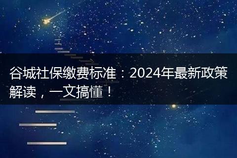 谷城社保缴费标准：2024年最新政策解读，一文搞懂！