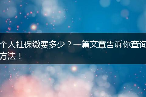 个人社保缴费多少？一篇文章告诉你查询方法！