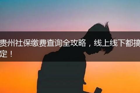 贵州社保缴费查询全攻略，线上线下都搞定！