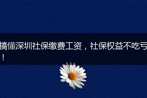 搞懂深圳社保缴费工资，社保权益不吃亏！