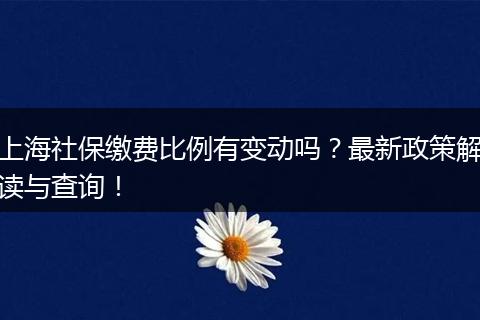 上海社保缴费比例有变动吗？最新政策解读与查询！