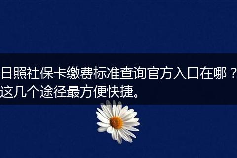 日照社保卡缴费标准查询官方入口在哪?这几个途径最方便快捷。