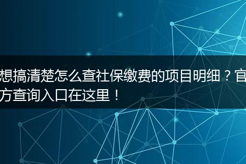 想搞清楚怎么查社保缴费的项目明细？官方查询入口在这里！