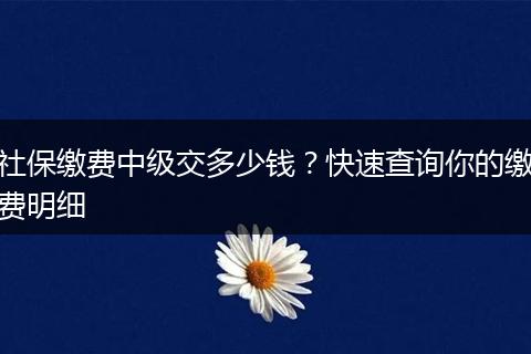 社保缴费中级交多少钱?快速查询你的缴费明细