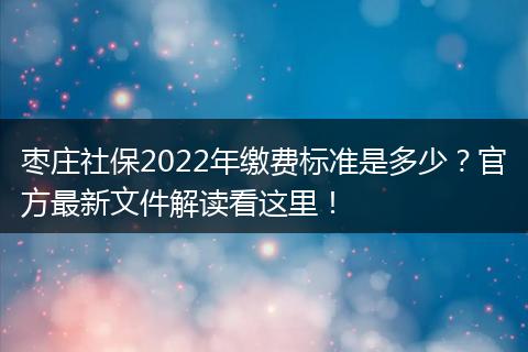 枣庄社保2022年缴费标准是多少？官方最新文件解读看这里！