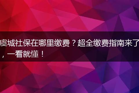 虞城社保在哪里缴费？超全缴费指南来了，一看就懂！