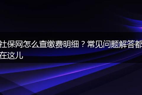 社保网怎么查缴费明细?常见问题解答都在这儿