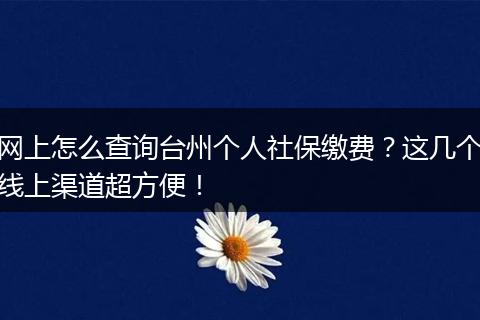 网上怎么查询台州个人社保缴费？这几个线上渠道超方便！