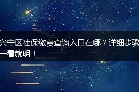 兴宁区社保缴费查询入口在哪？详细步骤一看就明！