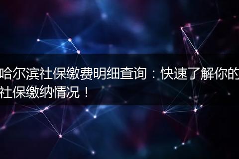 哈尔滨社保缴费明细查询：快速了解你的社保缴纳情况！