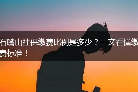 石嘴山社保缴费比例是多少？一文看懂缴费标准！