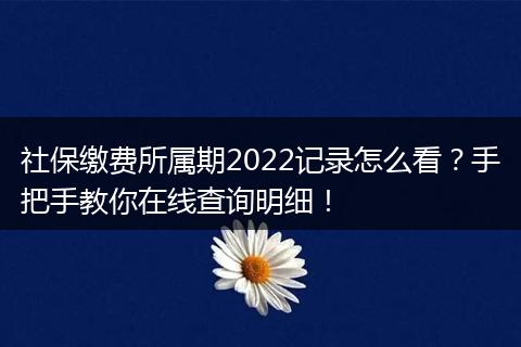 社保缴费所属期2022记录怎么看？手把手教你在线查询明细！