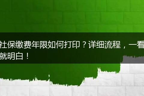 社保缴费年限如何打印？详细流程，一看就明白！