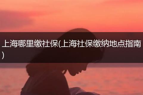 上海哪里缴社保(上海社保缴纳地点指南)