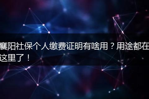 襄阳社保个人缴费证明有啥用？用途都在这里了！