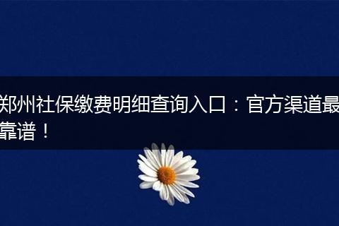 郑州社保缴费明细查询入口：官方渠道最靠谱！