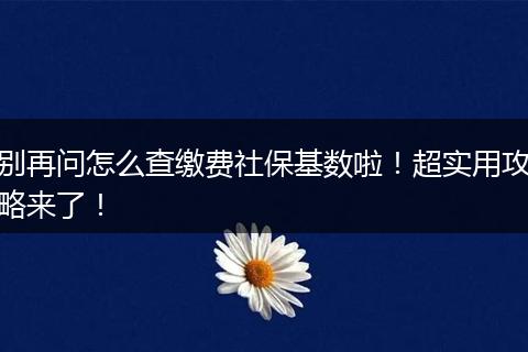 别再问怎么查缴费社保基数啦！超实用攻略来了！
