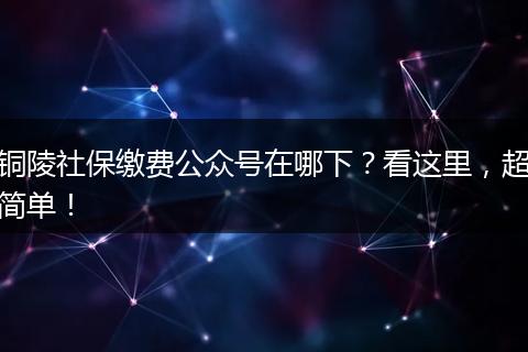 铜陵社保缴费公众号在哪下？看这里，超简单！