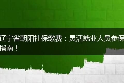 辽宁省朝阳社保缴费：灵活就业人员参保指南！