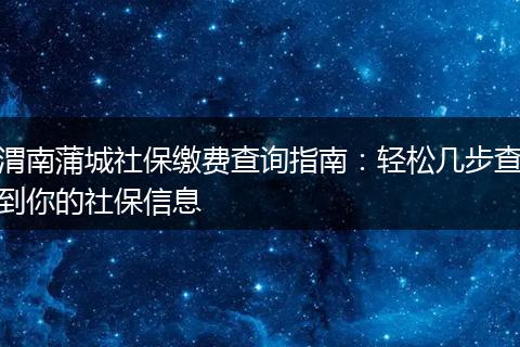 渭南蒲城社保缴费查询指南：轻松几步查到你的社保信息