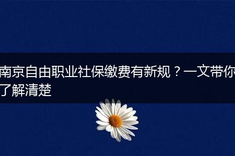 南京自由职业社保缴费有新规？一文带你了解清楚