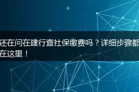 还在问在建行查社保缴费吗？详细步骤都在这里！