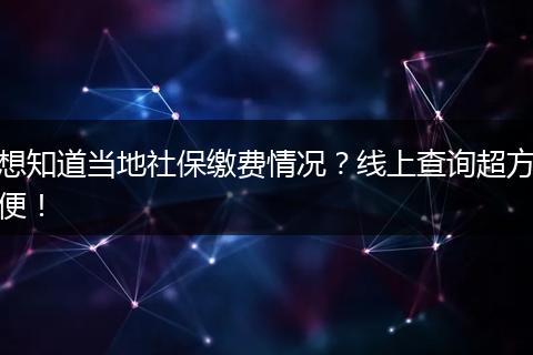 想知道当地社保缴费情况？线上查询超方便！
