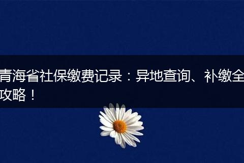青海省社保缴费记录：异地查询、补缴全攻略！
