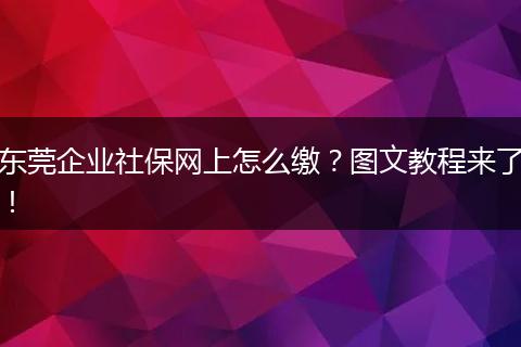 东莞企业社保网上怎么缴？图文教程来了！