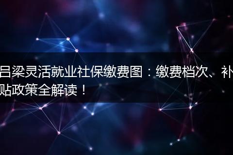 吕梁灵活就业社保缴费图：缴费档次、补贴政策全解读！