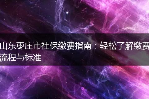 山东枣庄市社保缴费指南：轻松了解缴费流程与标准