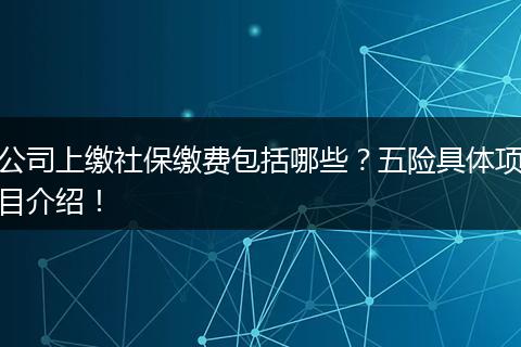 公司上缴社保缴费包括哪些?五险具体项目介绍!