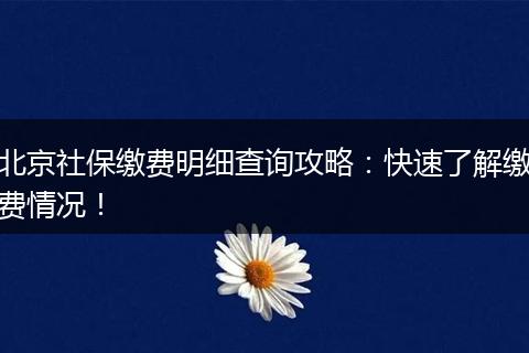 北京社保缴费明细查询攻略：快速了解缴费情况！