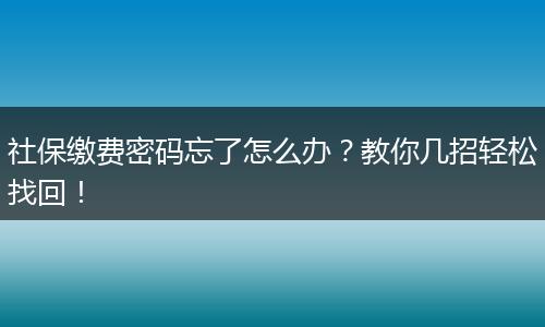 社保缴费密码忘了怎么办？教你几招轻松找回！