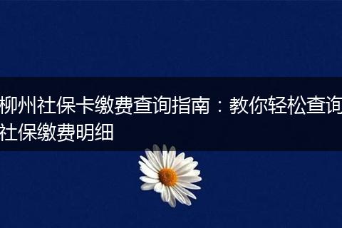 柳州社保卡缴费查询指南：教你轻松查询社保缴费明细