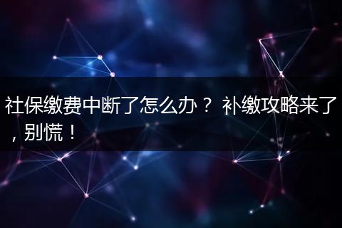 社保缴费中断了怎么办？ 补缴攻略来了，别慌！