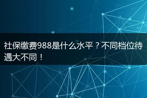 社保缴费988是什么水平？不同档位待遇大不同！