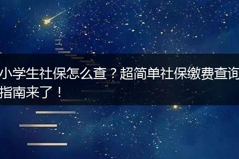 小学生社保怎么查？超简单社保缴费查询指南来了！