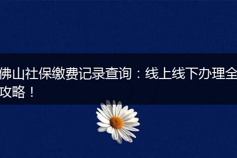 佛山社保缴费记录查询：线上线下办理全攻略！