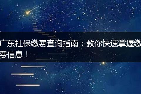 广东社保缴费查询指南：教你快速掌握缴费信息！