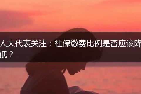 人大代表关注：社保缴费比例是否应该降低？